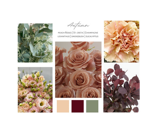 Blooms Palette: Autumn