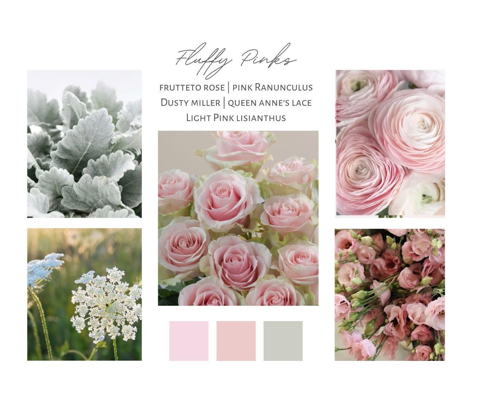 Blooms Palette: Fluffy Pinks