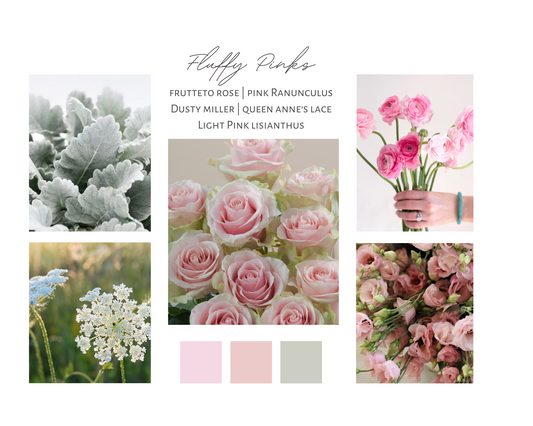 Blooms Palette: Fluffy Pinks