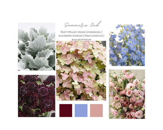 Blooms Palette: Summer's End