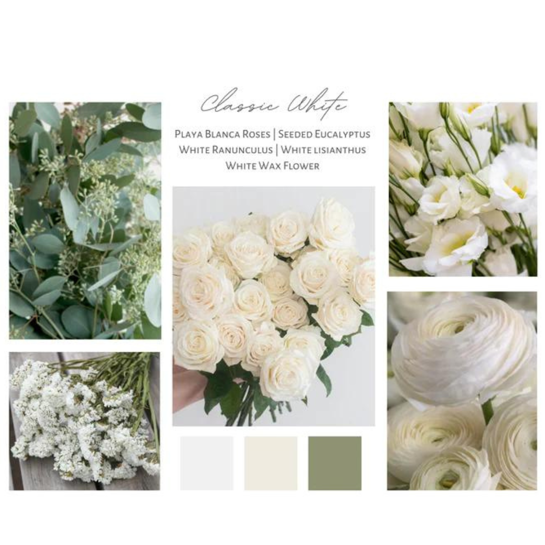Blooms Palette: Classic Whites